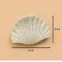 3.webp