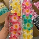 FLEUR.webp